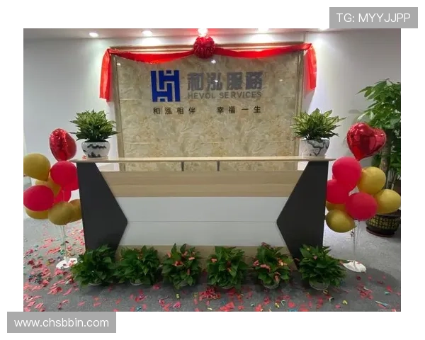 宝盈公司最新财务报告解读与投资者应关注的重点