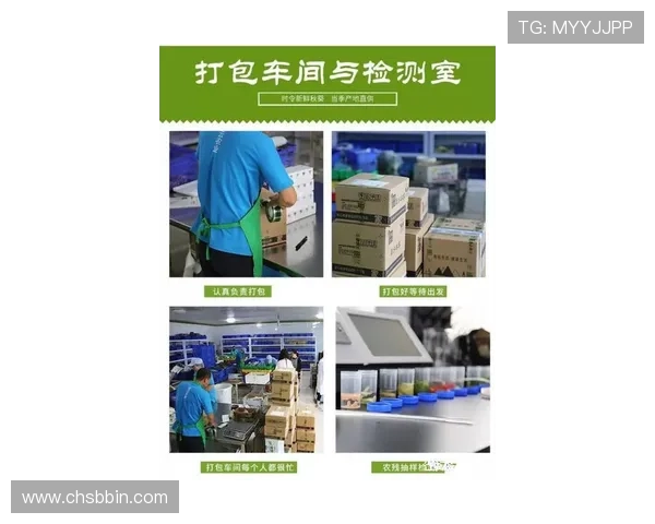 掌握bbin导航白菜的最新优惠动态,助你在网络游戏中轻松获取丰富福利奖励 掌握bbin导航白菜的最新优惠动态,助你在网络游戏中轻松获取丰富福利奖励